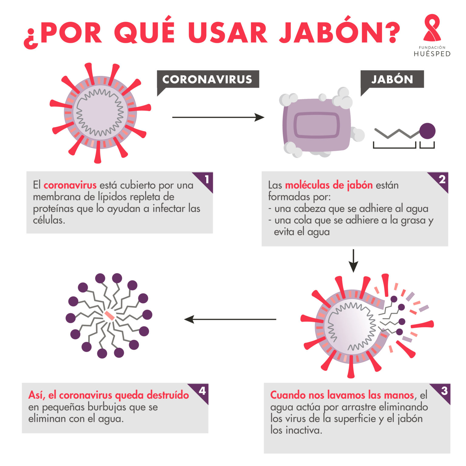 Infografía Por qué usar jabón Fundación Huésped